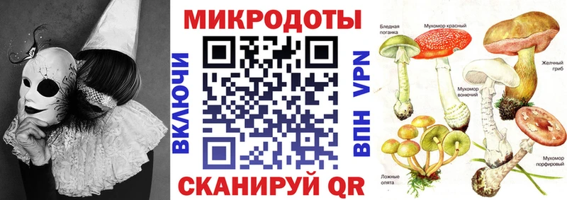 Галлюциногенные грибы Magic Shrooms  Кемерово 